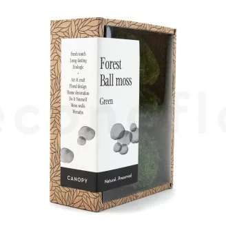 Mini Muschio a sfera stabilizzato Nature Green (Creabox S)