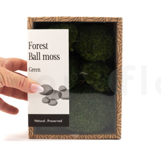 Mini Mousse Boule Stabilis&eacute;e - Creabox - Nature Green