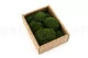 Mini Mousse Boule stabilis&eacute;e Nature Green (Creabox S) 5