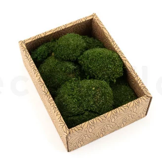 Mini Mousse Boule stabilis&eacute;e Nature Green (Creabox S)