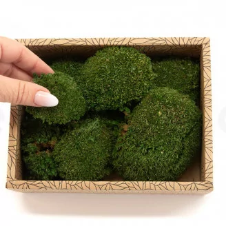 Mini Muschio a sfera stabilizzato Nature Green (Creabox S)