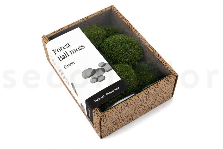 Mini Mousse Boule Stabilis&eacute;e - Creabox - Nature Green