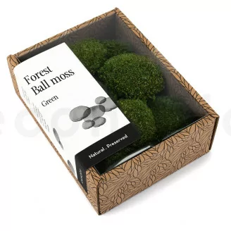 Mini Mousse Boule stabilis&eacute;e Nature Green (Creabox S)