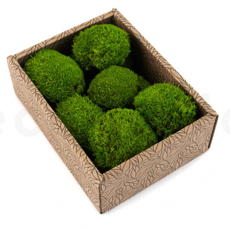 Mini Mousse Boule Préservée - Creabox - Light Green