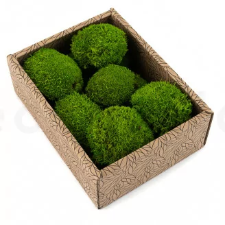 Mini Mousse Boule stabilis&eacute;e Light Green (Creabox S)
