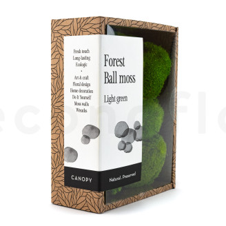 Mini Mousse Boule Stabilis&eacute;e - Creabox - Light Green