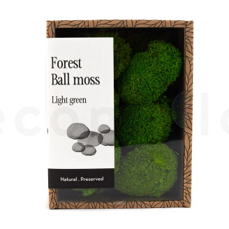 Mini Mousse Boule Préservée - Creabox - Light Green