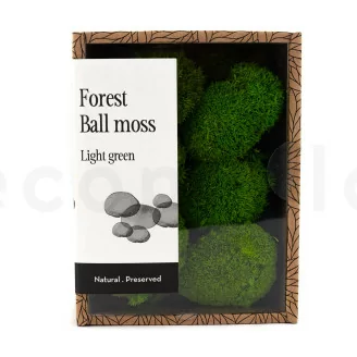 Preserved Mini Ball Moss Light Green (Creabox S)