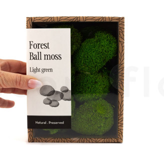 Mini Ball Moss Preserved - Creabox - Light Green