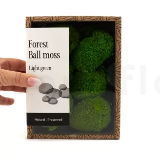Mini Mousse Boule stabilis&eacute;e Light Green (Creabox S)