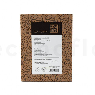 Mini Muschio a sfera preservato - Creabox - Light Green