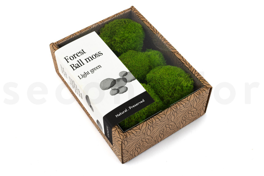 Mini Mousse Boule Préservée - Creabox - Light Green