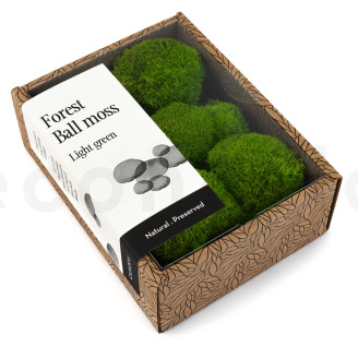 Mini Muschio a sfera stabilizzato - Creabox S - Light Green