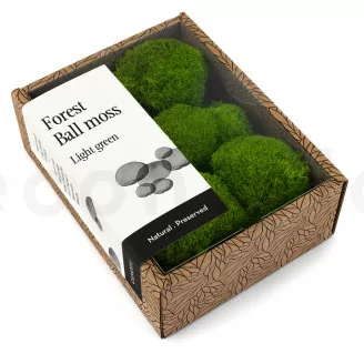 Preserved Mini Ball Moss Light Green (Creabox S)