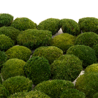 Mini Mousse Boule Stabilis&eacute;e - Creabox - Nature Green