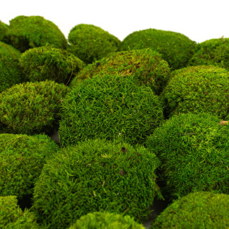 Mini Mousse Boule Stabilis&eacute;e - Creabox - Light Green