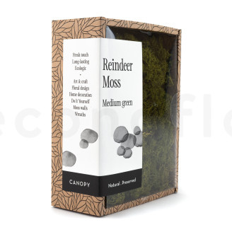 Lichen Préservé - Creabox - Medium Green