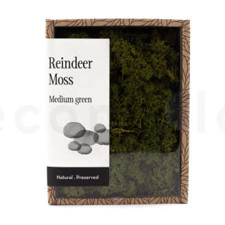 Lichen Préservé - Creabox - Medium Green