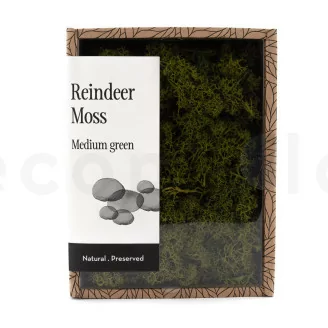 Lichen stabilis&eacute; Medium Green (Creabox S)
