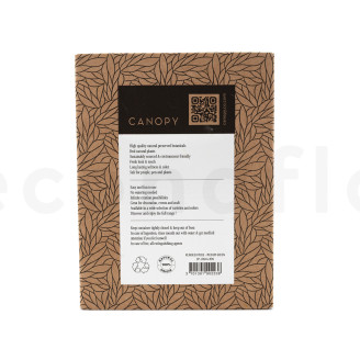 Lichene stabilizzato - Creabox - Medium Green