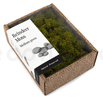 Lichene stabilizzato - Creabox - Medium Green