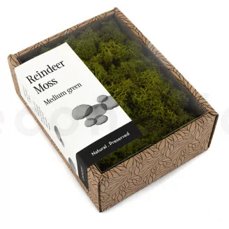 Lichene stabilizzato - Creabox S - Medium Green