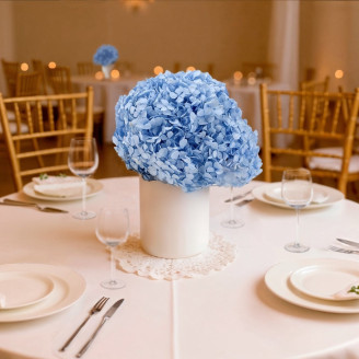 Hortensia Preservada - Light Blue
