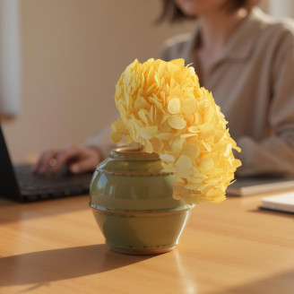 Hortensia Preservado - Soft Yellow