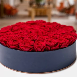 Rosa preservada L (x8) Rojo