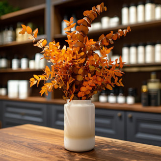 Eucalyptus Stuartiana Stabilized - Orange
