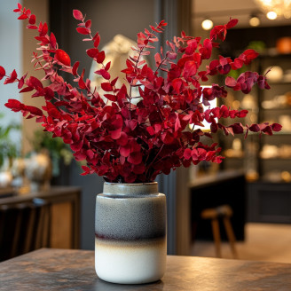 Eucalyptus Stuartiana Stabilized - Red