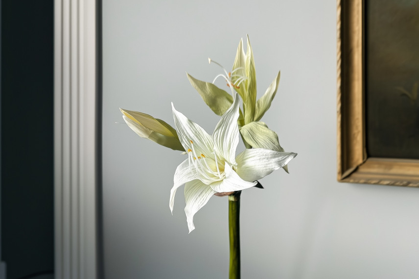 Künstliche Wilde Amaryllis auf Stiel - Weiß