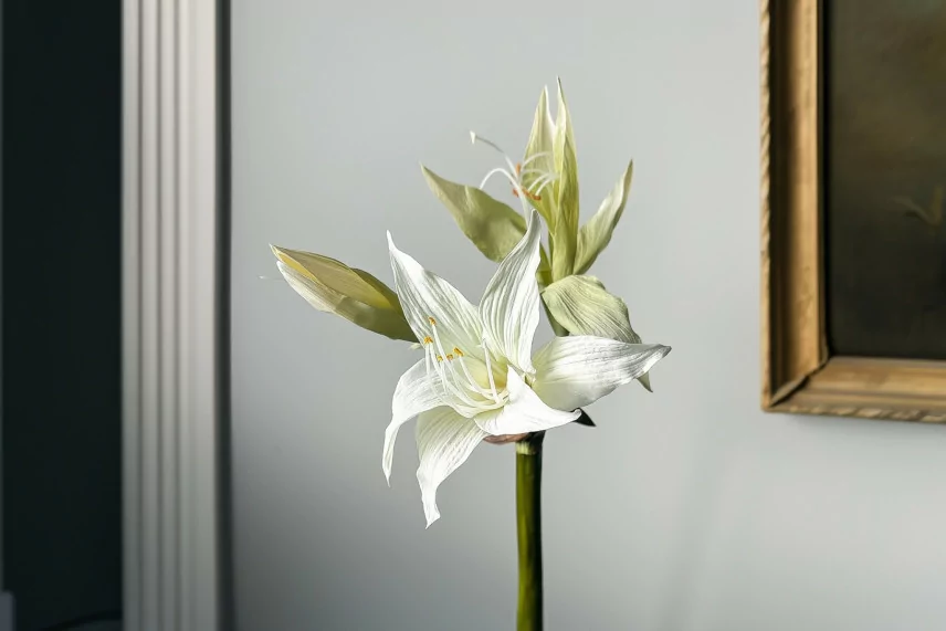 K&uuml;nstliche wilde Amaryllis Wei&szlig;