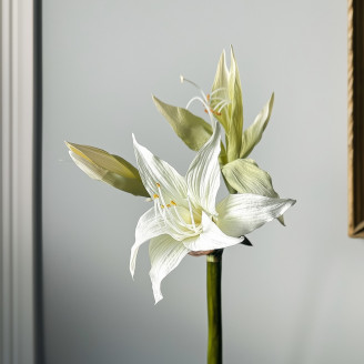 Artificial Wild Amaryllis on Stem - White