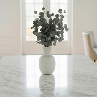 Eucalyptus Populus Preserved - Green
