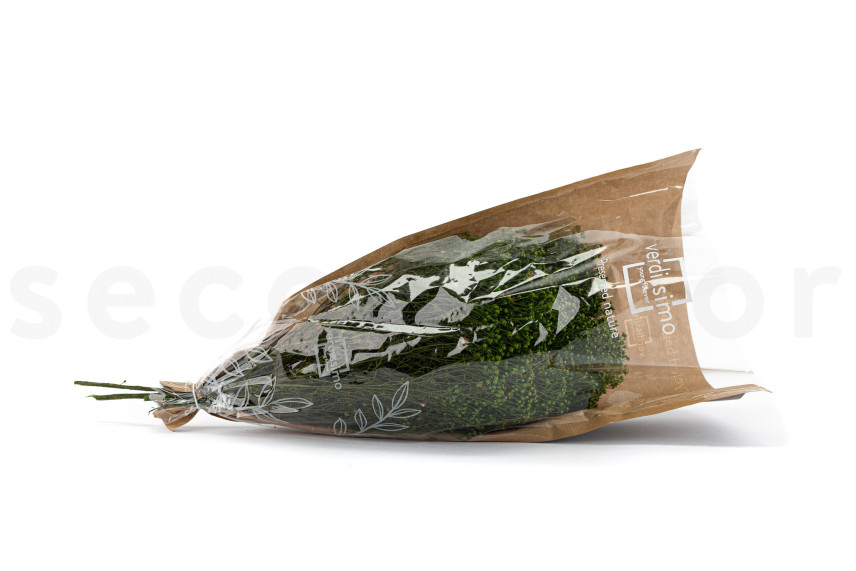 Broom stabilisé - Vert