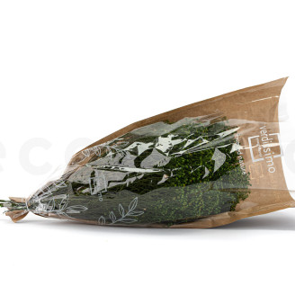Broom preservado - Verde