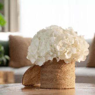 Hortensia preservada Blanco