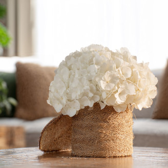Hydrangea Stabilized Kiara - Pure White