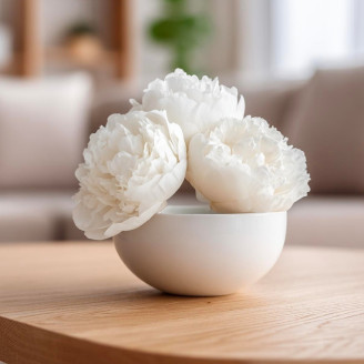 Peony Preserved - Box of 3 - White