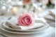 Rosa stabilizzata XL Bridal Pink (x6) 2