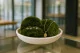 Mood Moss preservado Nature Green (Caja) 2