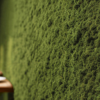 Mousse de Roche Stabilis&eacute;e - Bo&icirc;te - Vert