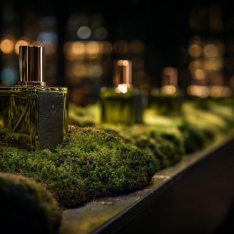 Star Moss Preserved - Box - Green