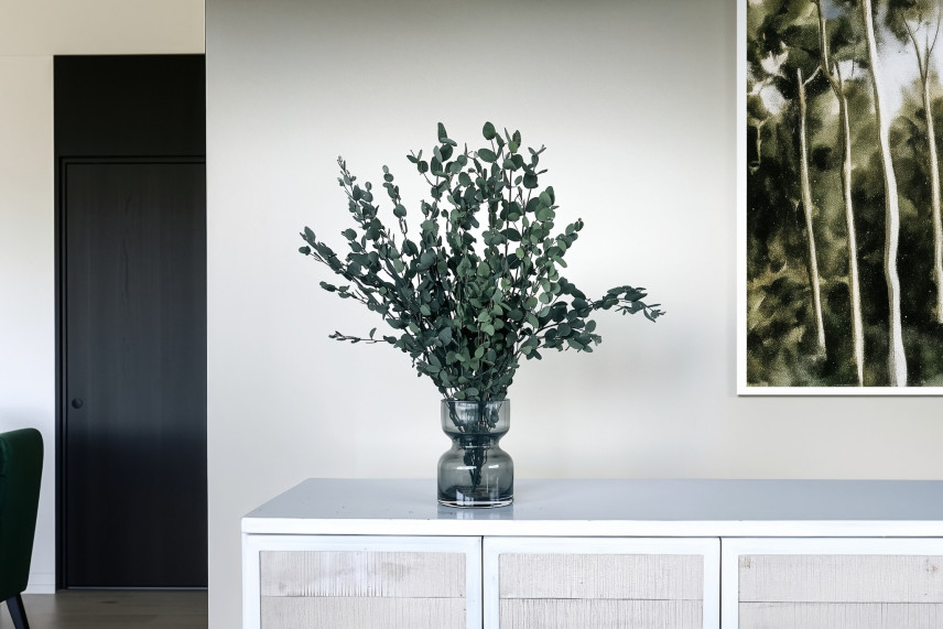 Eukalyptus Gunnii stabilisiert - Grün