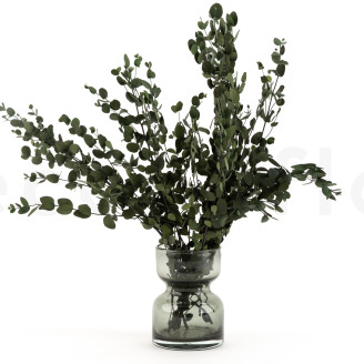 Eucalyptus Gunnii Stabilized - Green