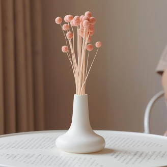 Craspedia preservata - Mazzo - Pink Flamingo