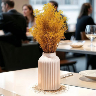 Mini Gypsophila Preserved - Honey Yellow