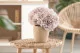 Hortensia preservado Avellana 1