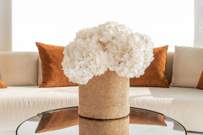 Hortensia preservada - Blanca